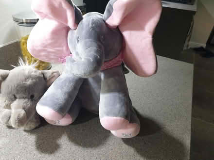Photo of free Elephant soft toy (Sutton in Ashfield NG17) #1