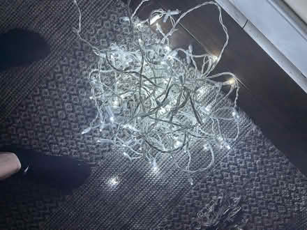 Photo of free LED Christmas lights (South Philadelphia) #1