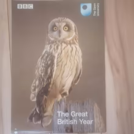 Photo of free BBC iSpot Nature Guide (Leicester) #1