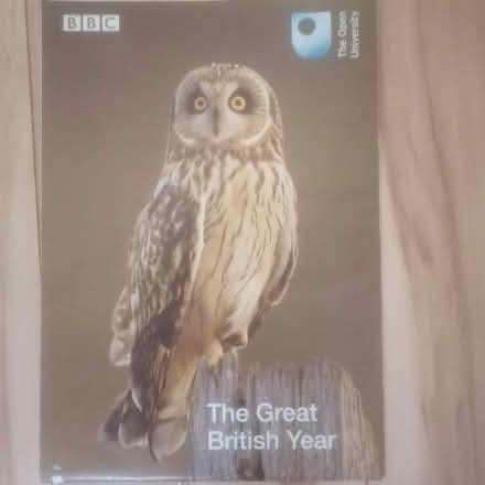 Photo of free BBC iSpot Nature Guide (Leicester) #1