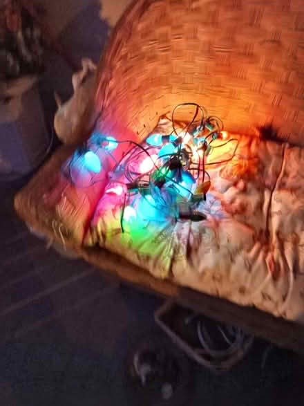 Photo of free Old fashioned holiday lighta (Mt Rainier MD) #2
