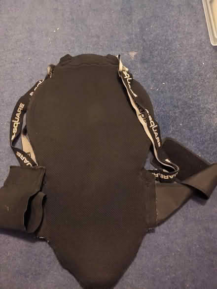 Photo of free Motorbike gear: back protector (Handsworth B20) #3