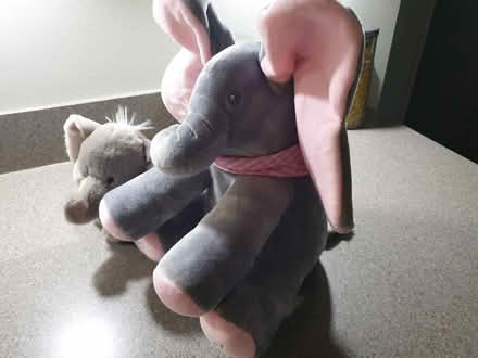 Photo of free Elephant soft toy (Sutton in Ashfield NG17) #2