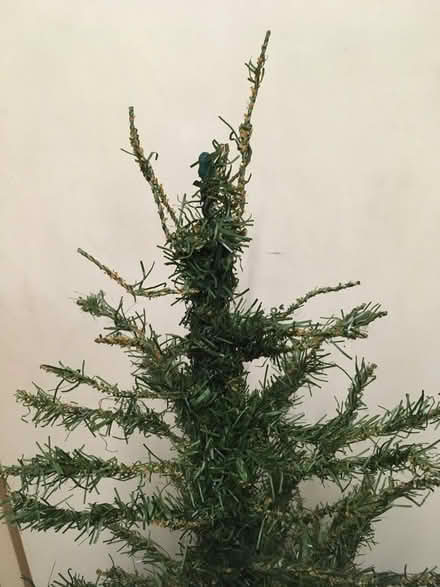 Photo of free Approx 3ft older Christmas tree (Guildford Gu1) #4