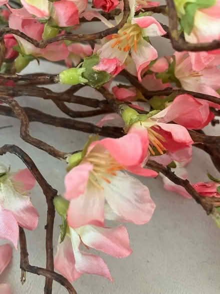 Photo of free Artificial cherry blossom flowers (Nash MK17) #1