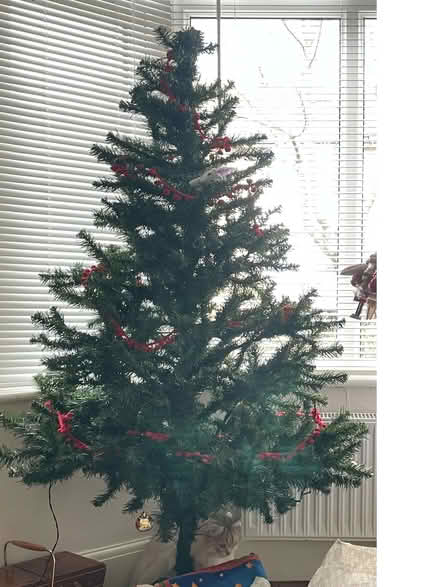 Photo of free Artificial Christmas tree (Weston) #1