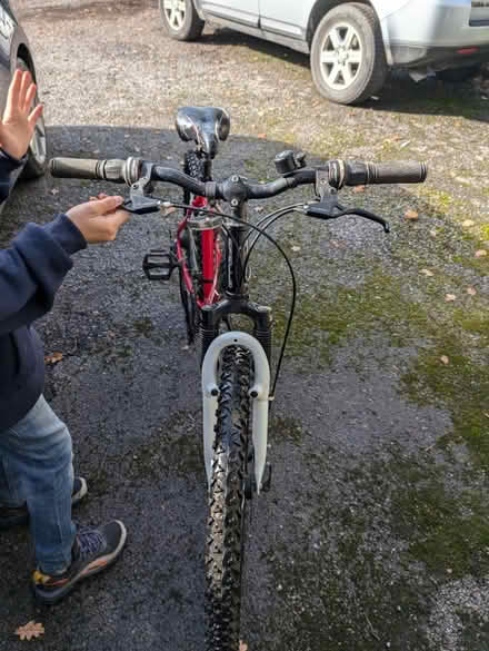 Photo of free Apollo phase (Ockley) #3