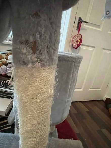 Photo of free High cat tree (M32) #2