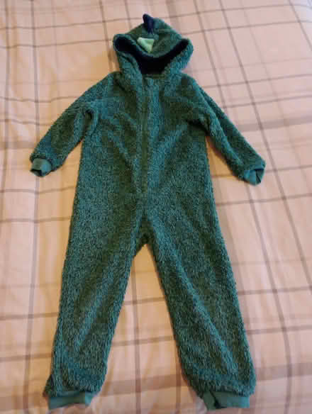 Photo of free Dinosaur onesie for age 4-5 years (Welwyn Garden City, AL8) #1