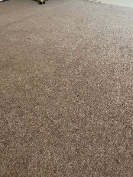 Photo of free Wool carpet remnant (East Barnet EN4) #3