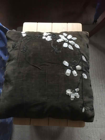 Photo of free Antique embroidered velvet cushion for up cycling (Great Shelford CB22) #1