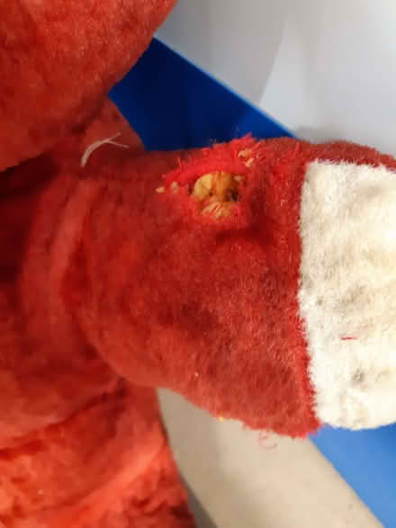 Photo of free Vintage Red Teddy Bear (Norton Canes WS11) #3