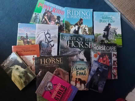 Photo of free A load of horse books (Battle Hill NE28) #1