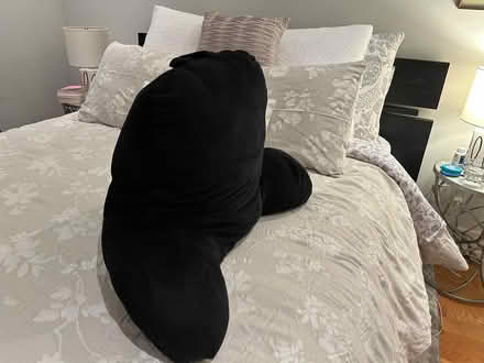 Photo of free Armchair Pillow (Westboro) #3