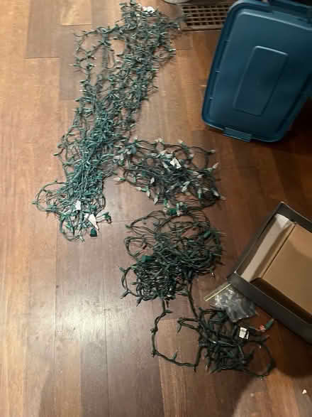 Photo of free Xmas Lights (Cabbagetown) #1