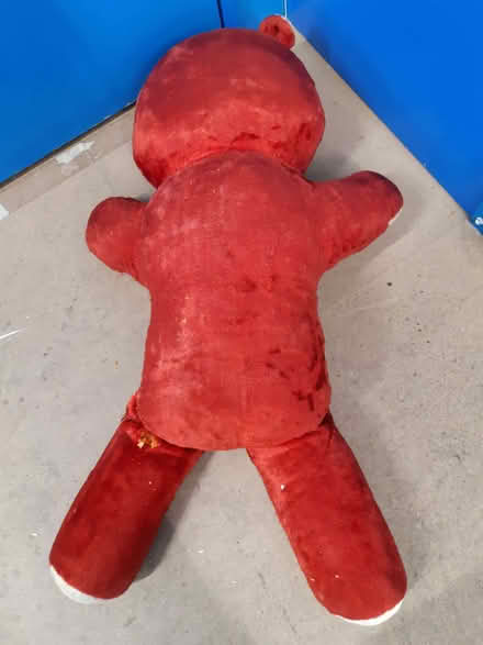 Photo of free Vintage Red Teddy Bear (Norton Canes WS11) #2