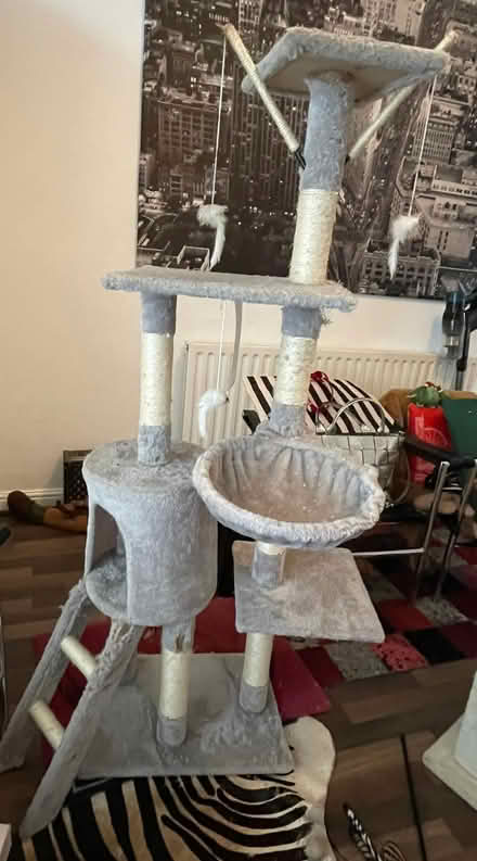 Photo of free High cat tree (M32) #1