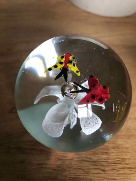Photo of free Paperweights (Bedworth CV12) #3