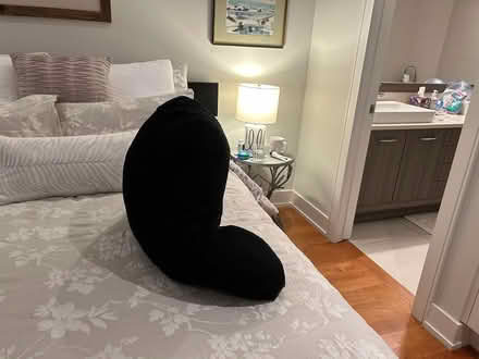 Photo of free Armchair Pillow (Westboro) #1