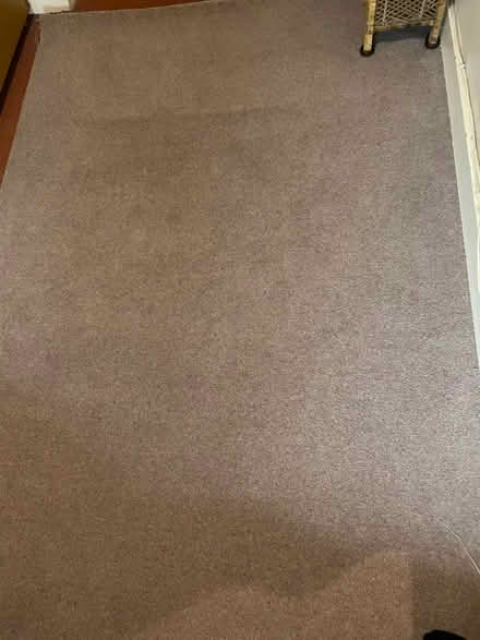 Photo of free Wool carpet remnant (East Barnet EN4) #2