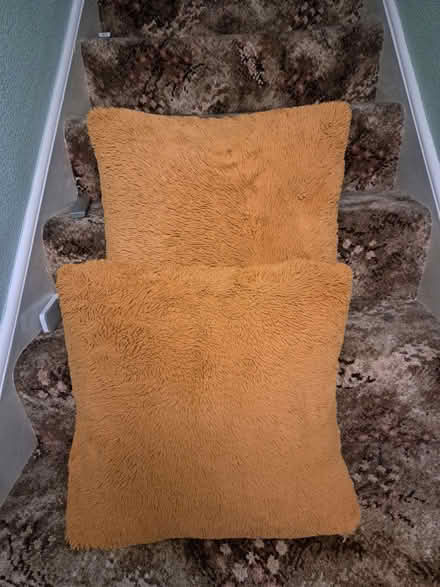 Photo of free Cushions (Callowell GL5) #1