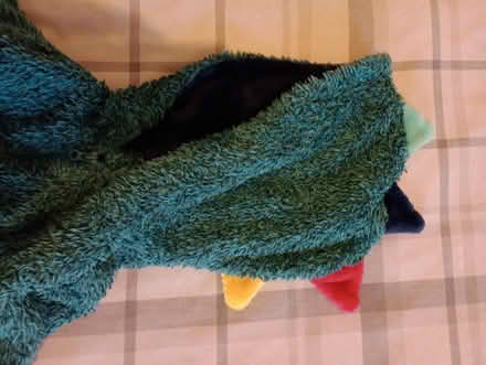 Photo of free Dinosaur onesie for age 4-5 years (Welwyn Garden City, AL8) #2