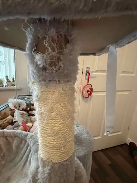 Photo of free High cat tree (M32) #4