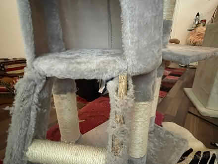 Photo of free High cat tree (M32) #3