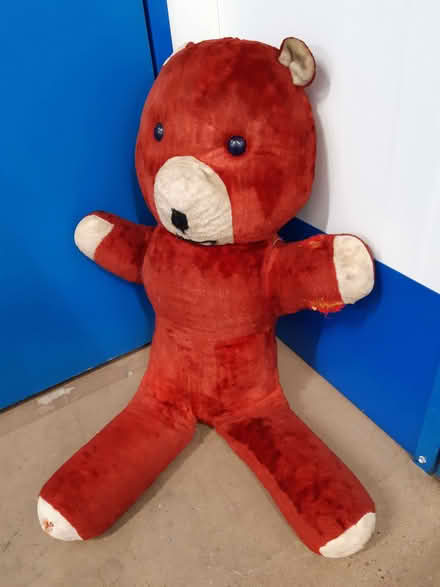 Photo of free Vintage Red Teddy Bear (Norton Canes WS11) #1