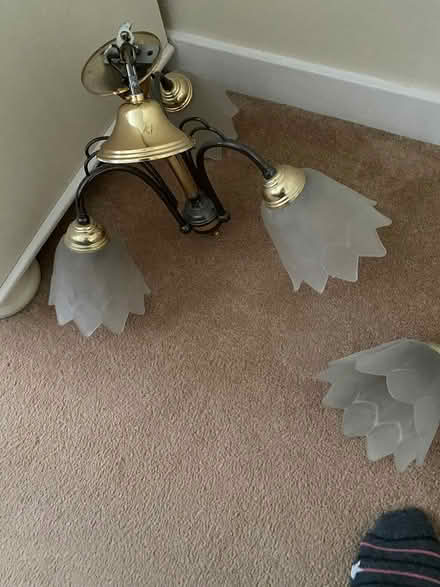 Photo of free Ceiling lights (Cheam Sutton SM3) #3