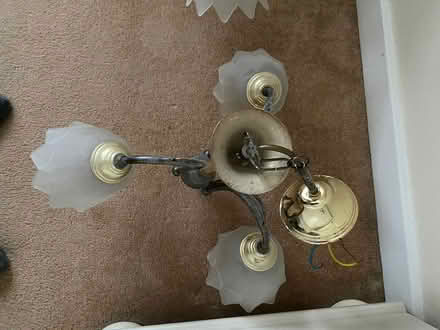 Photo of free Ceiling lights (Cheam Sutton SM3) #1