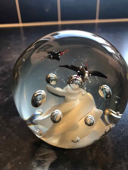 Photo of free Paperweights (Bedworth CV12) #2