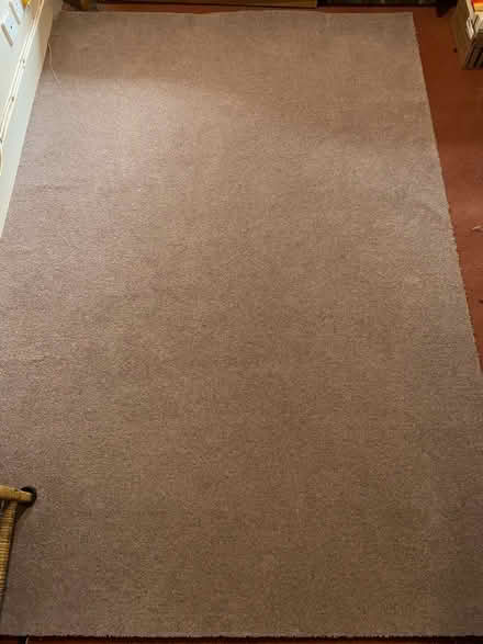 Photo of free Wool carpet remnant (East Barnet EN4) #1