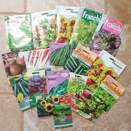 Photo of free Lots of veg seeds (Milton Keynes Village MK10) #1