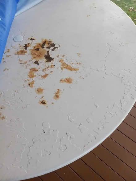 Photo of free Circular metal table (Burlington) #2