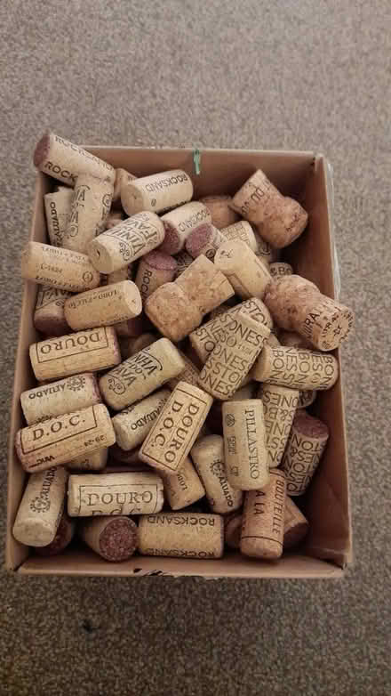 Photo of free Used wine corks (Garstang) #1