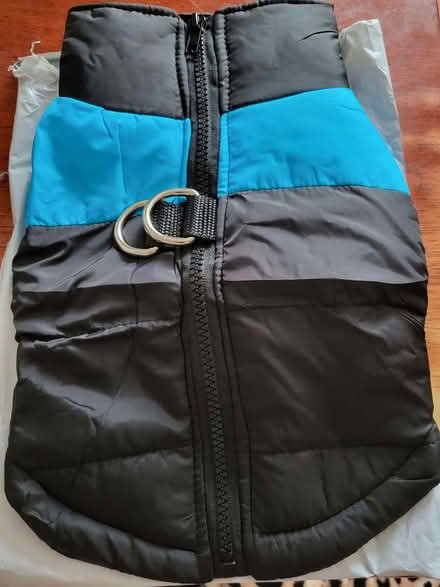 Photo of free Black and blue medium sized waterproof dog coat (Beeston LS11) #1
