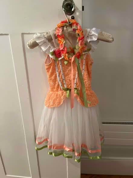Photo of free Ballet Recital Costume (Clapham SW4) #1