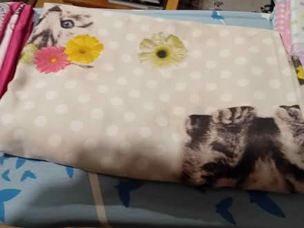 Photo of free Girls duvet covers (Cubbington CV32) #1