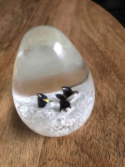 Photo of free Paperweights (Bedworth CV12) #4