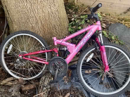 Photo of free Girls bike (Strawberry Hill TW2) #1