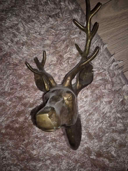 Photo of free Wall mounted stags (Fleetwood FY7) #2