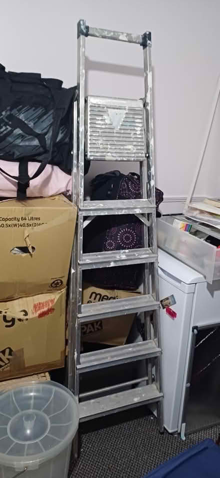 Photo of free Tall Ladder (E9 Hackney) #1