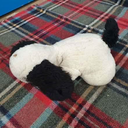Photo of free Snoopy, Vintage Soft Toy (Norton Canes WS11) #1