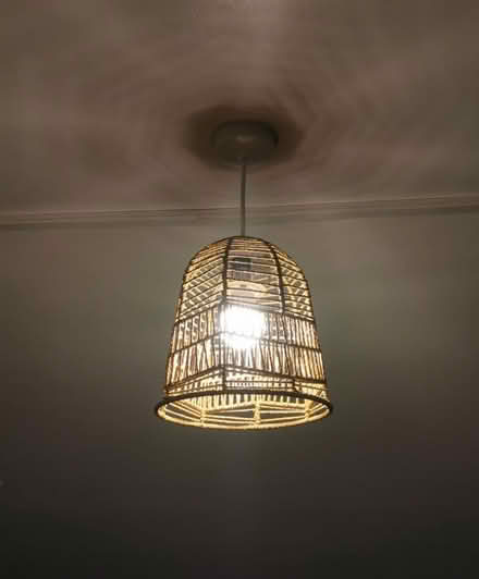 Photo of free Lamp shades + lamp (Bounds Green N22) #3