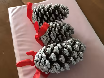 Photo of free Flocked Pine Cone ornaments (11) (Bridgeport, PA) #1