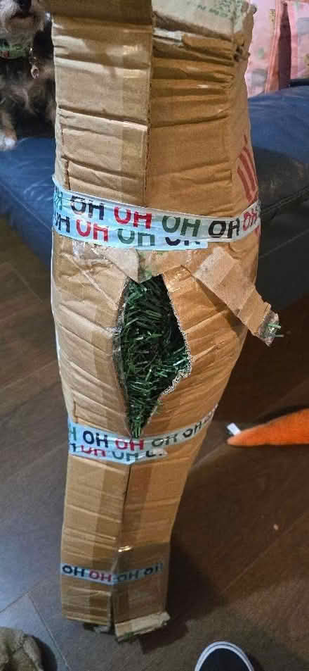 Photo of free 4ft Christmas tree (Kensington L6) #1