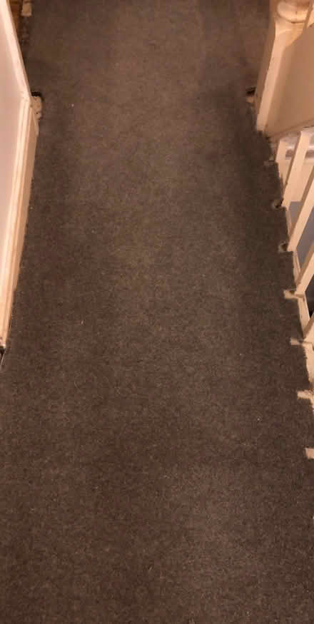 Photo of free Length of grey carpet (Freehold LA1) #1