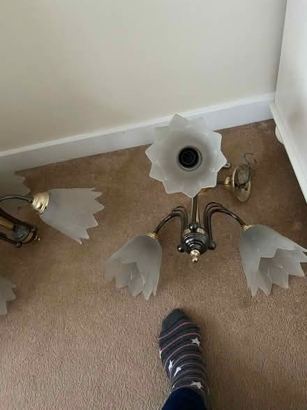 Photo of free Ceiling lights (Cheam Sutton SM3) #2