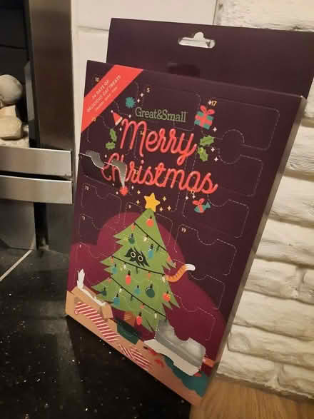 Photo of free Cat Advent Calendar (2 days opened) (Trowbridge BA14) #1